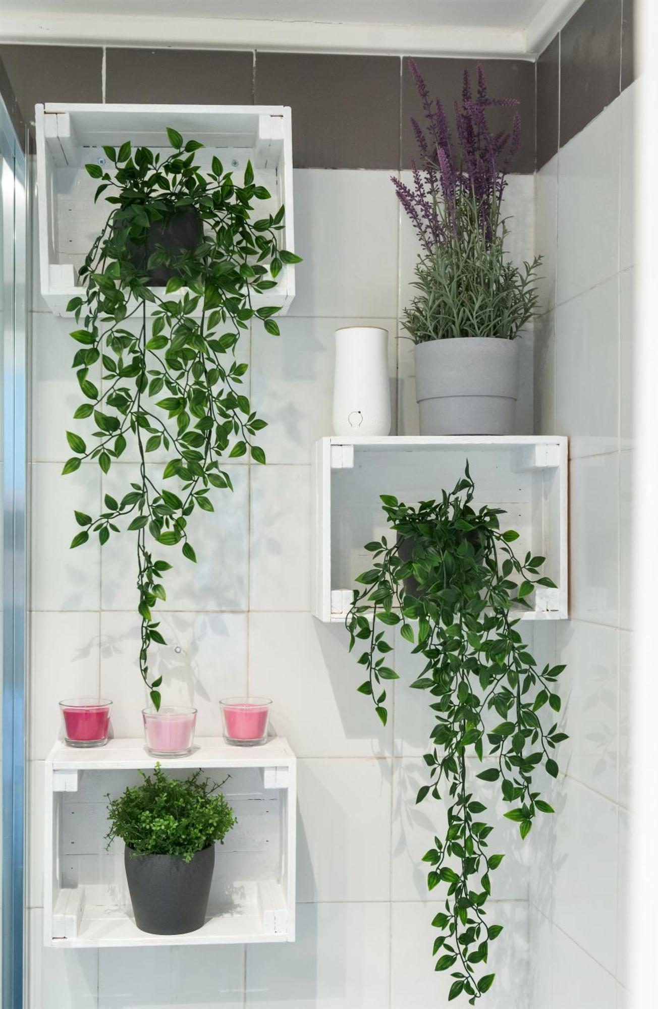 Cozy Studio Campo De Fiori 로마 외부 사진